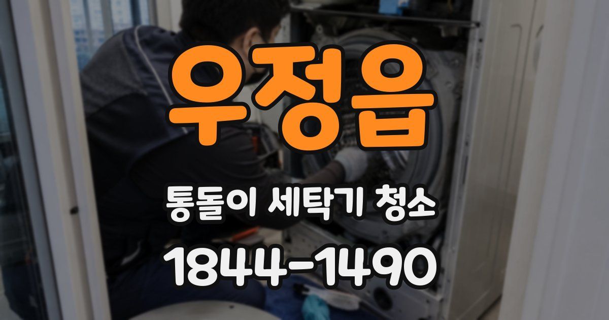 우정읍 통돌이 세탁기 청소