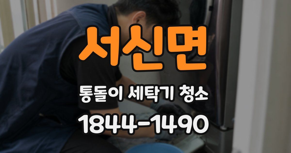 서신면 통돌이 세탁기 청소