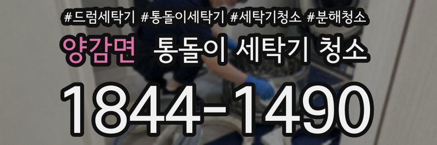 양감면 통돌이 세탁기 청소