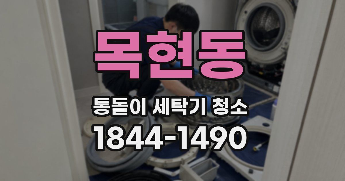 목현동 통돌이 세탁기 청소
