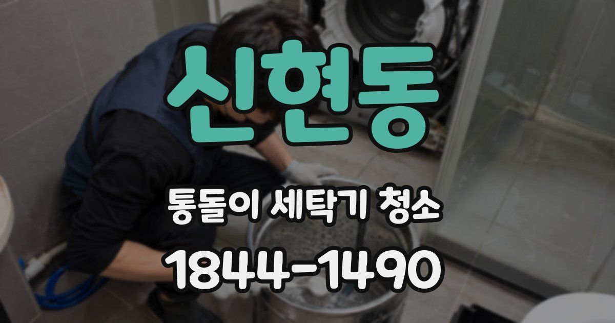 신현동 통돌이 세탁기 청소