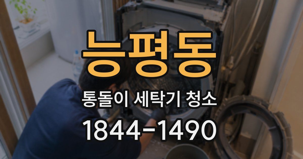 능평동 통돌이 세탁기 청소