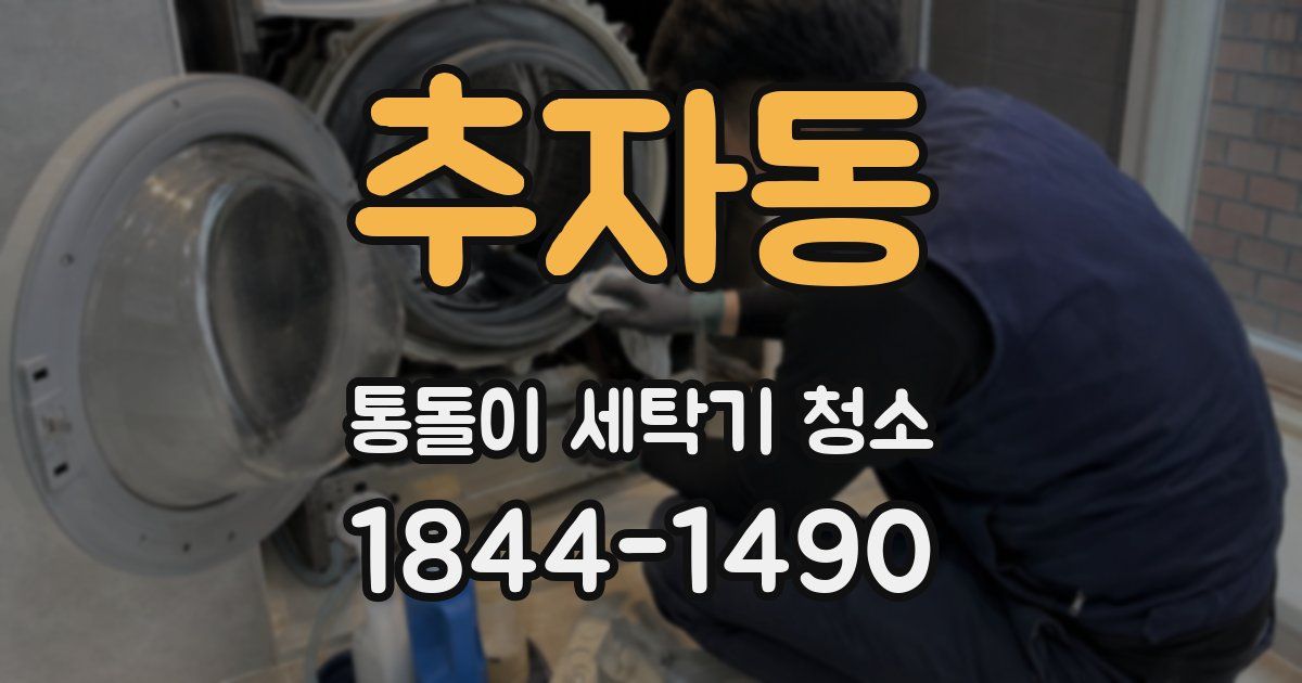 추자동 통돌이 세탁기 청소