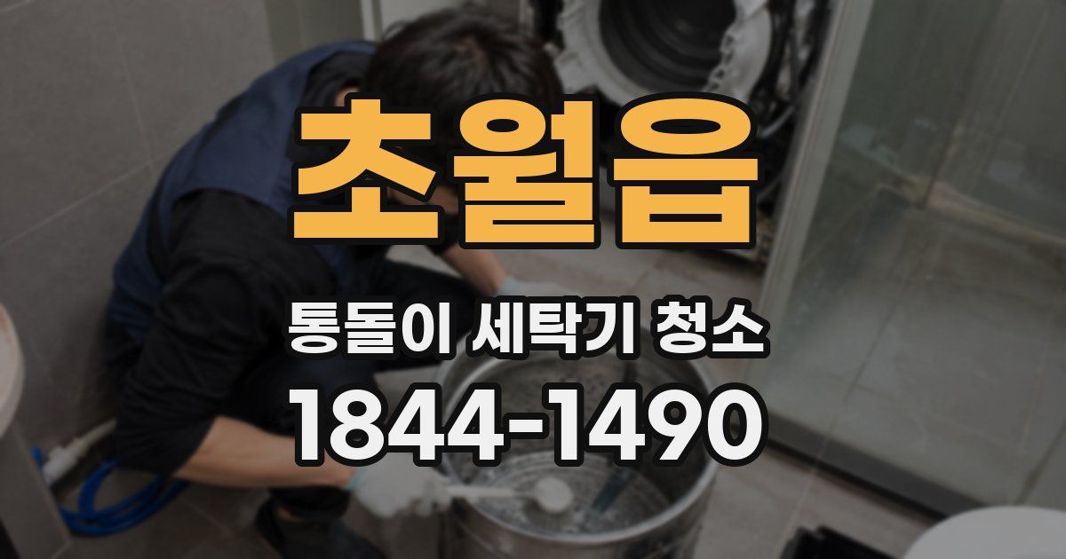초월읍 통돌이 세탁기 청소