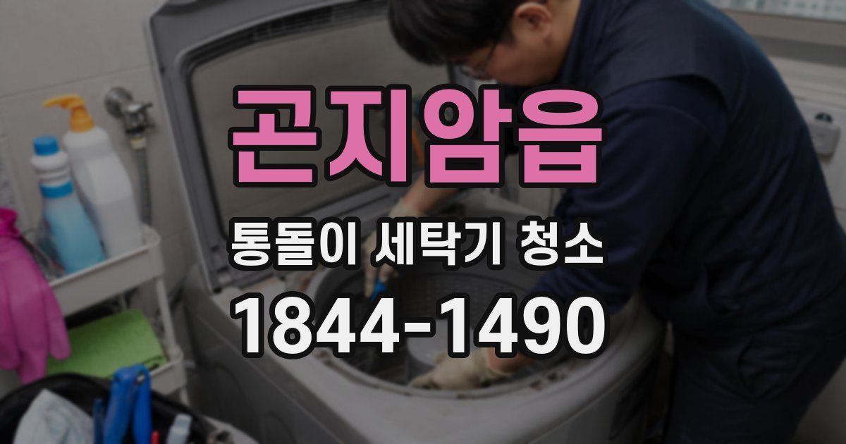 곤지암읍 통돌이 세탁기 청소