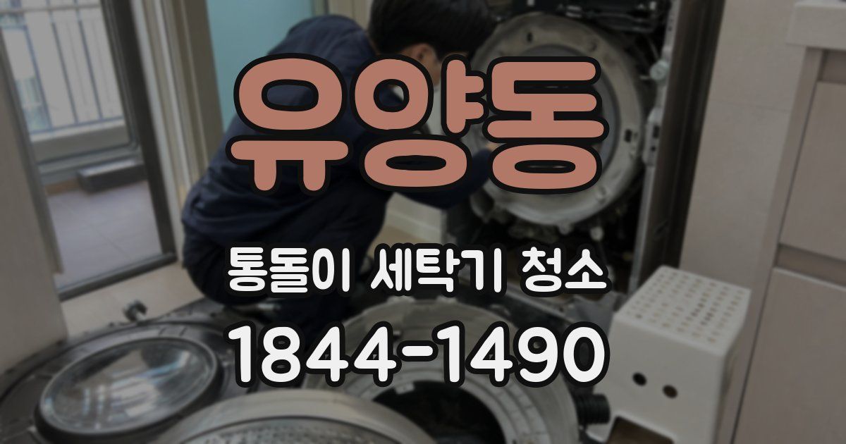 유양동 통돌이 세탁기 청소