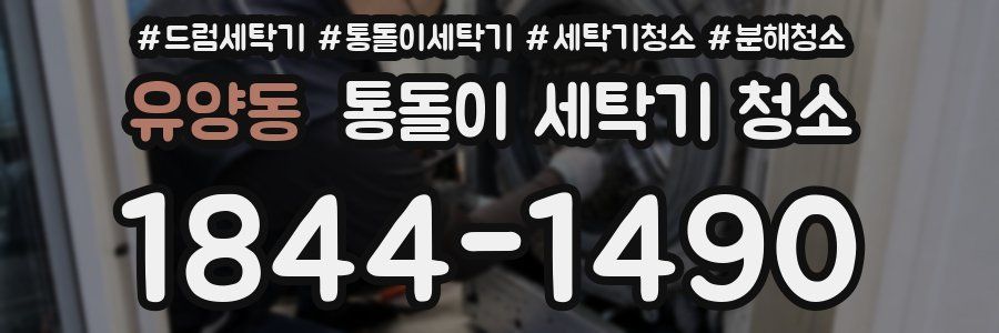 유양동 통돌이 세탁기 청소
