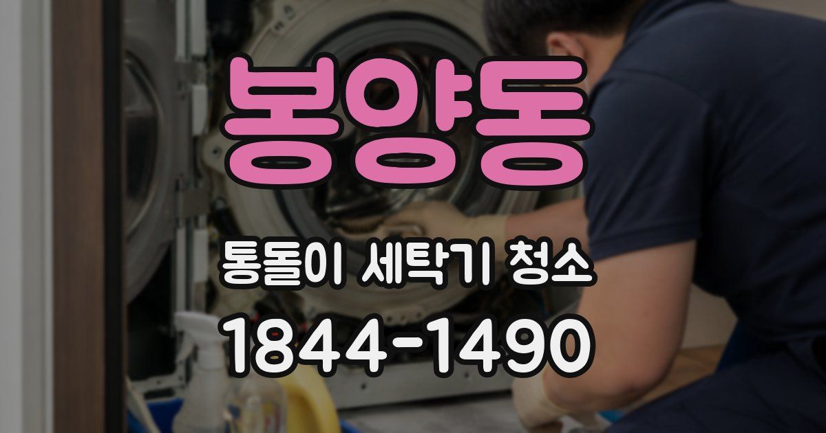 봉양동 통돌이 세탁기 청소
