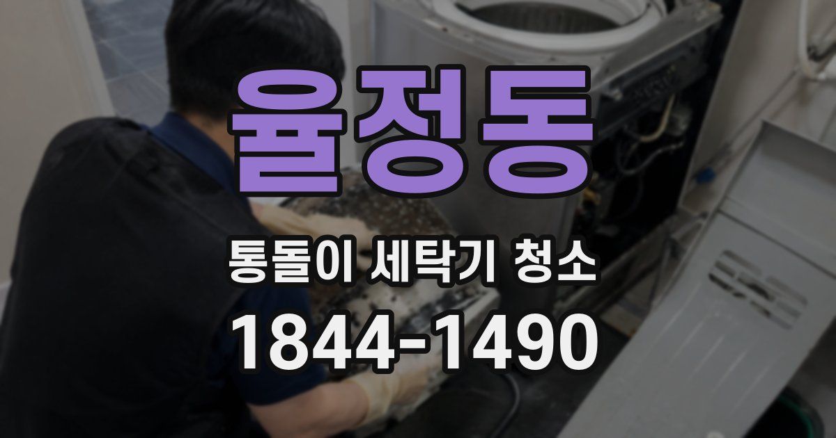 율정동 통돌이 세탁기 청소