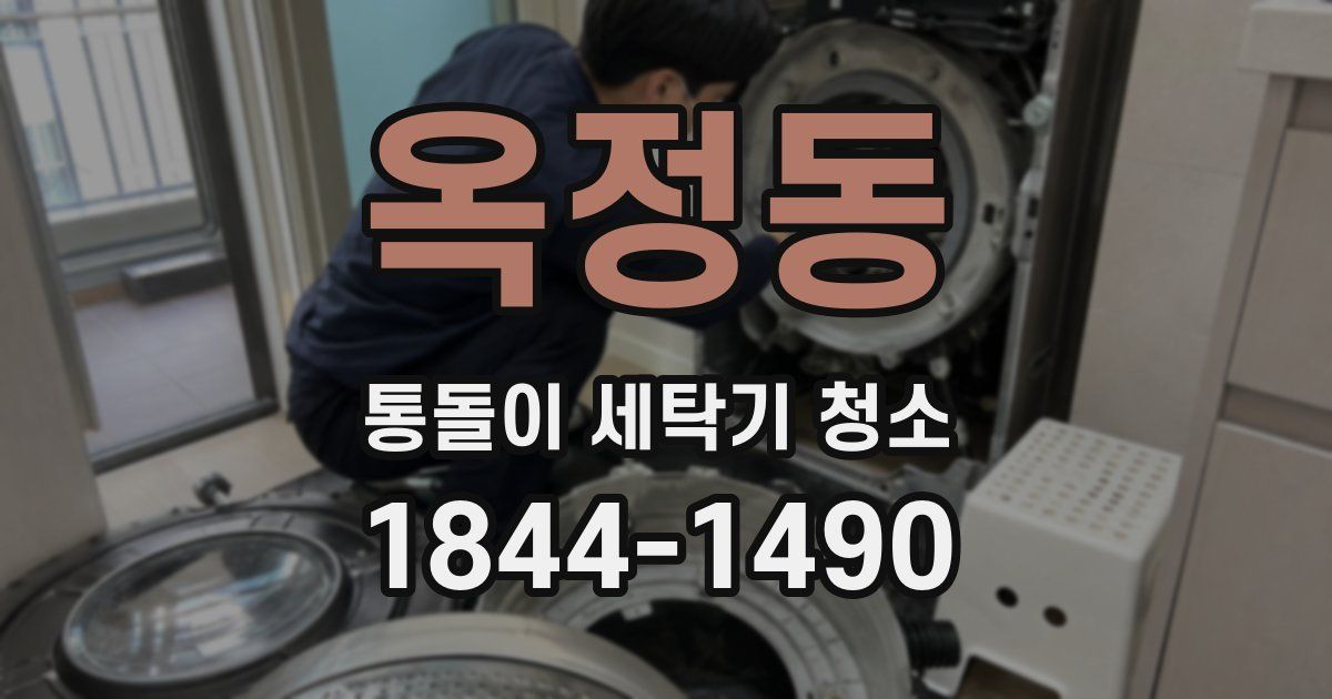 옥정동 통돌이 세탁기 청소
