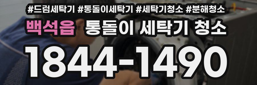 백석읍 통돌이 세탁기 청소