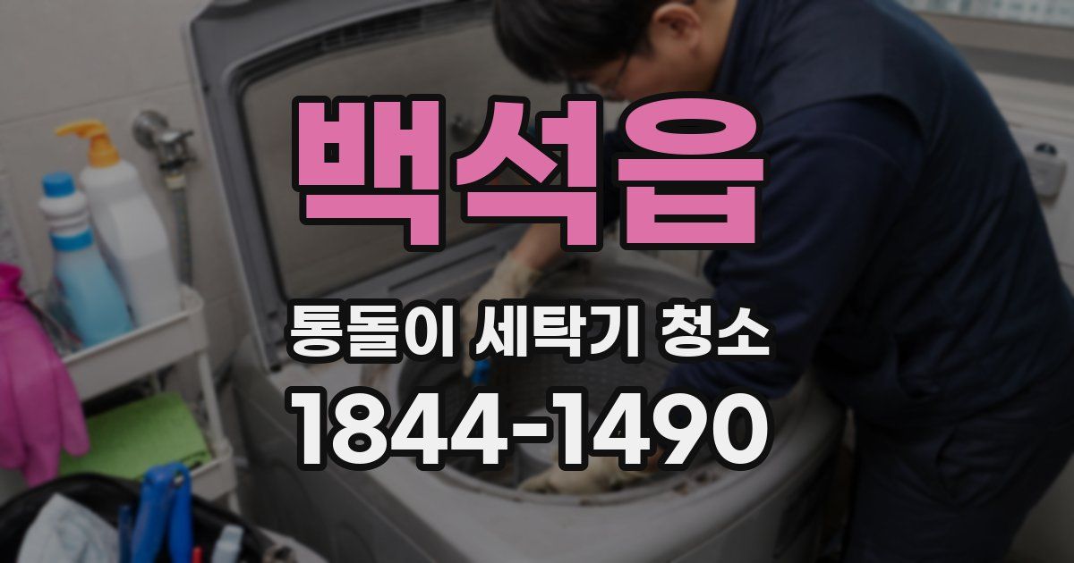 백석읍 통돌이 세탁기 청소