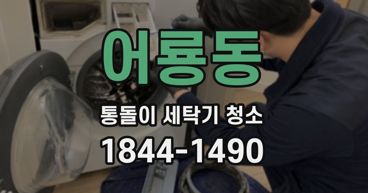 어룡동 통돌이 세탁기 청소