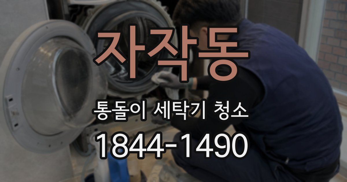 자작동 통돌이 세탁기 청소