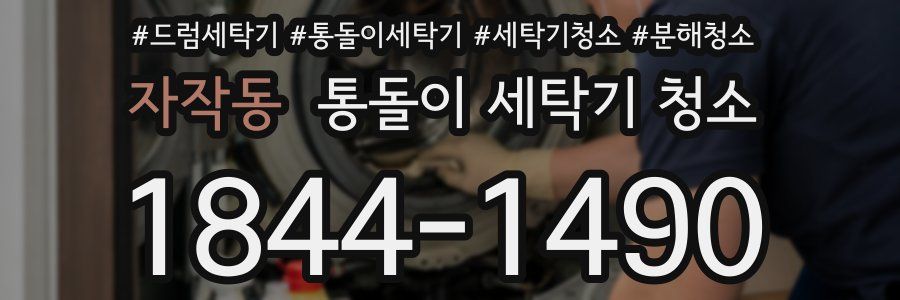 자작동 통돌이 세탁기 청소