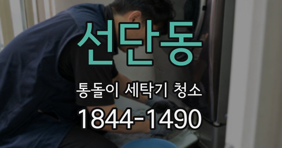 선단동 통돌이 세탁기 청소