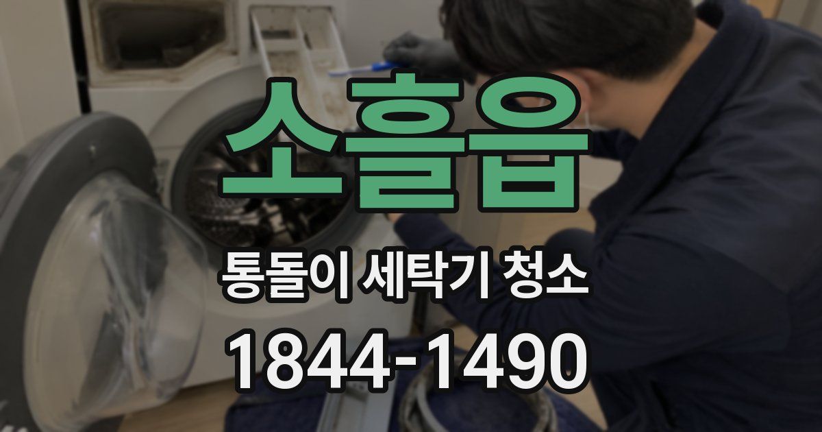 소흘읍 통돌이 세탁기 청소