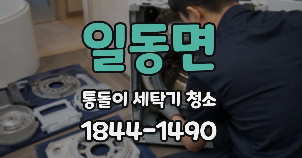 일동면 통돌이 세탁기 청소