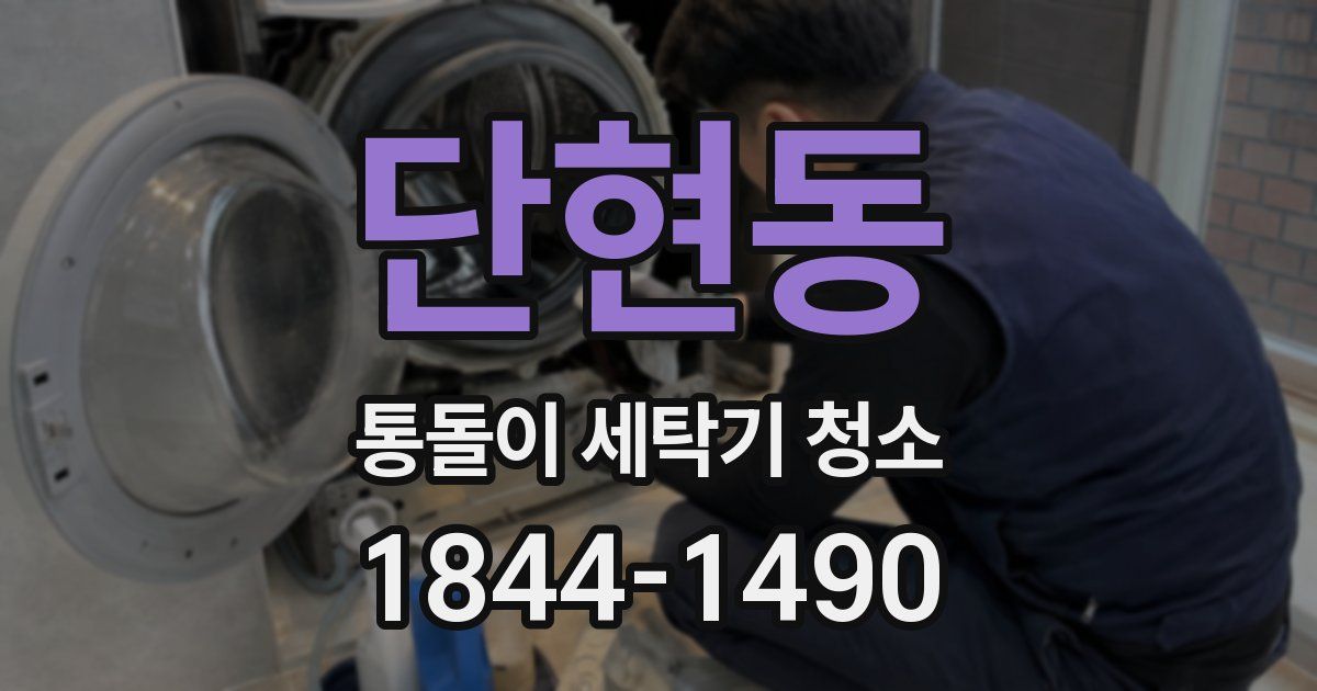 단현동 통돌이 세탁기 청소