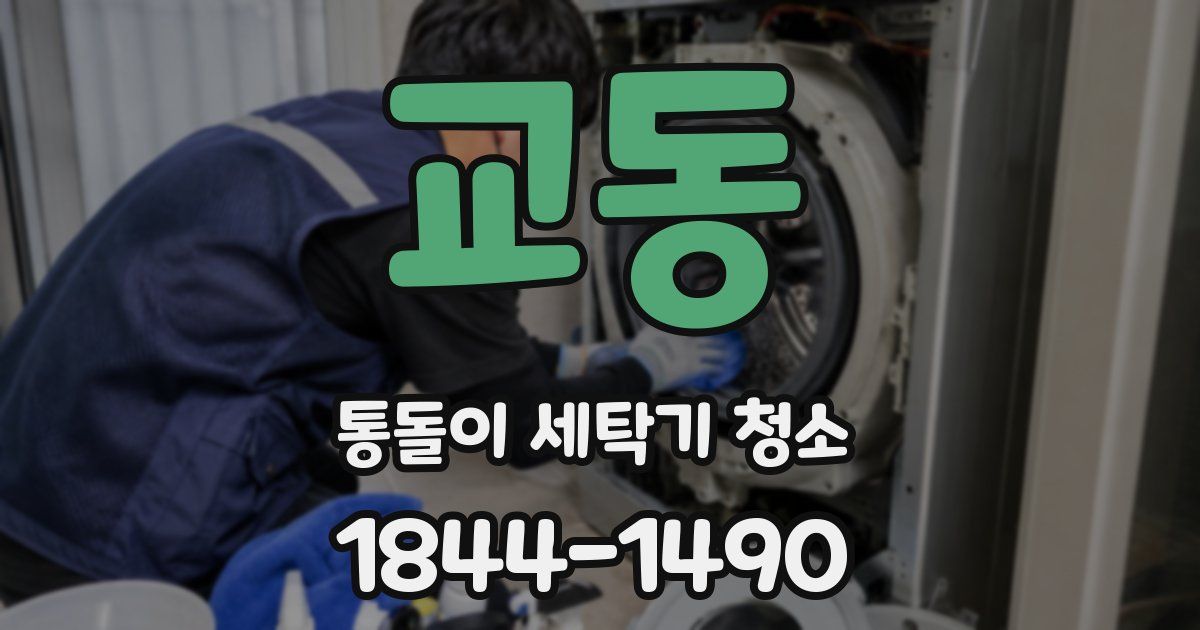 교동 통돌이 세탁기 청소