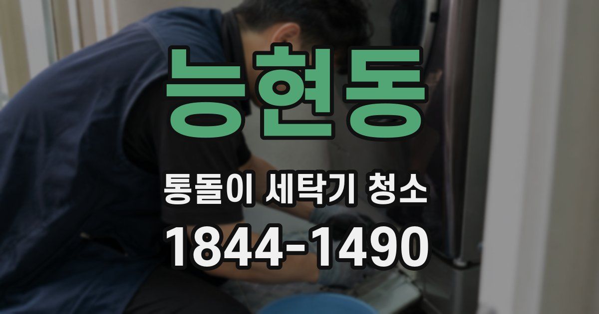 능현동 통돌이 세탁기 청소
