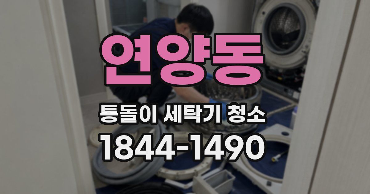 연양동 통돌이 세탁기 청소
