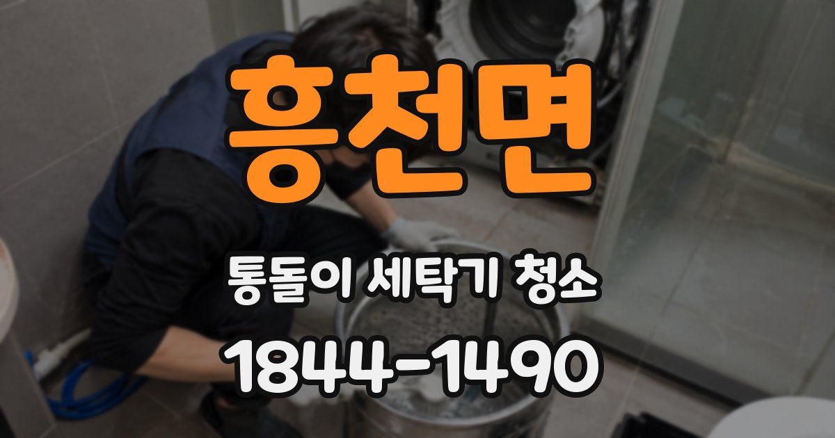 흥천면 통돌이 세탁기 청소