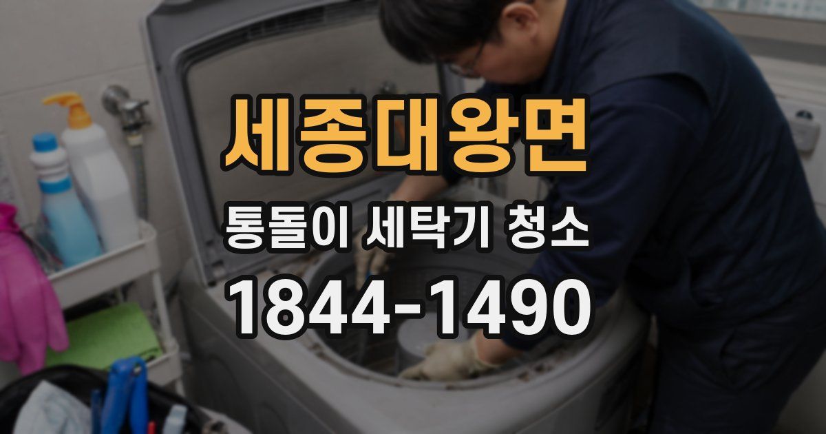 세종대왕면 통돌이 세탁기 청소