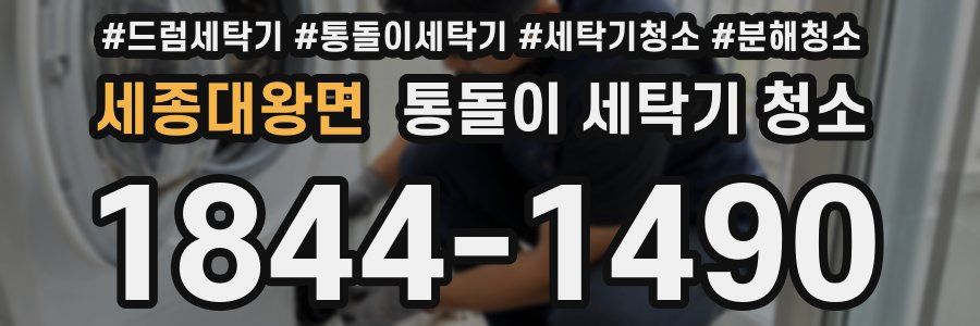 세종대왕면 통돌이 세탁기 청소