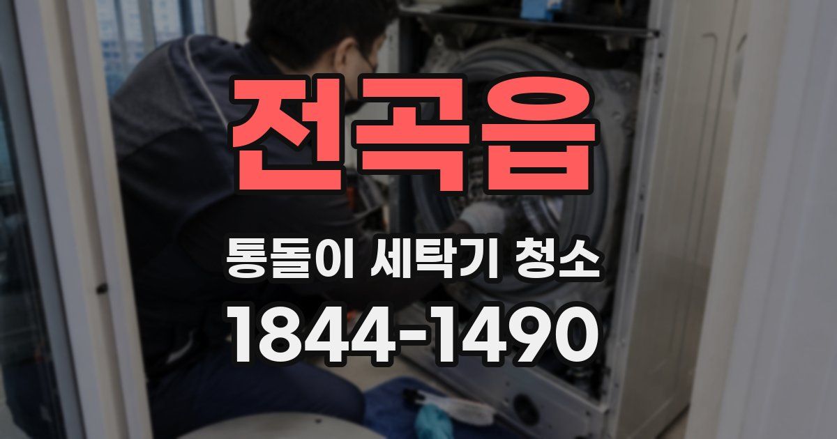 전곡읍 통돌이 세탁기 청소