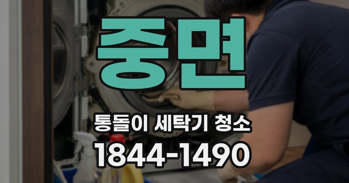 중면 통돌이 세탁기 청소