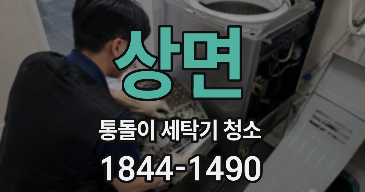 상면 통돌이 세탁기 청소