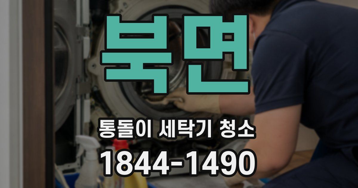 북면 통돌이 세탁기 청소