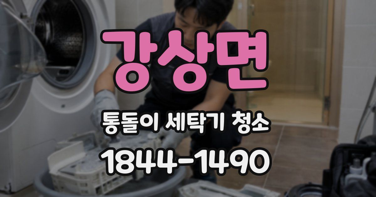 강상면 통돌이 세탁기 청소