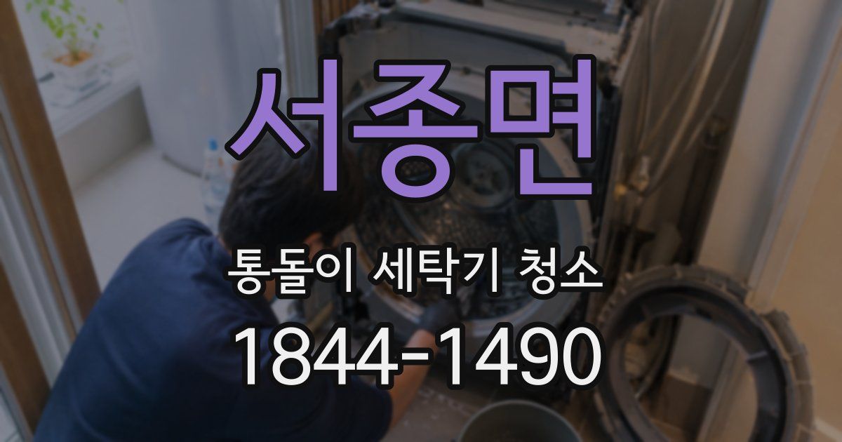서종면 통돌이 세탁기 청소