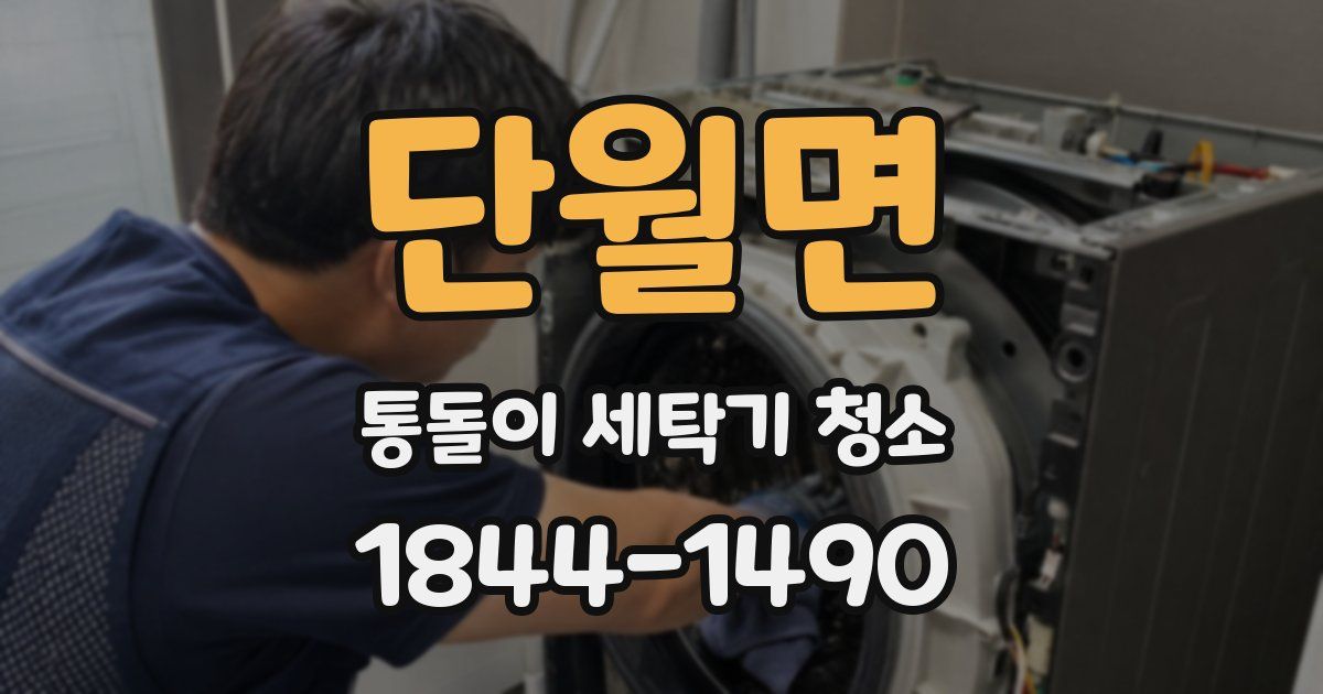 단월면 통돌이 세탁기 청소