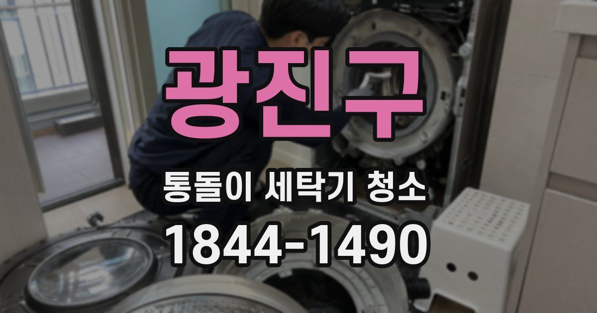 광진구 통돌이 세탁기 청소