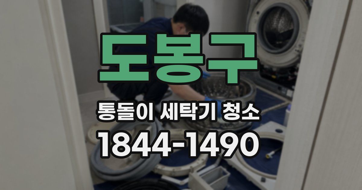 도봉구 통돌이 세탁기 청소