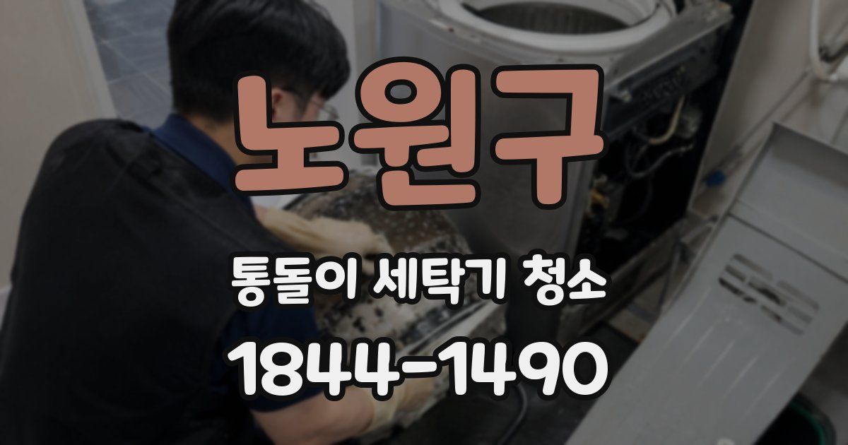 노원구 통돌이 세탁기 청소