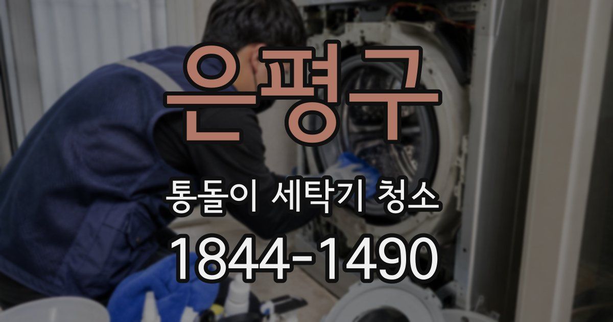 은평구 통돌이 세탁기 청소