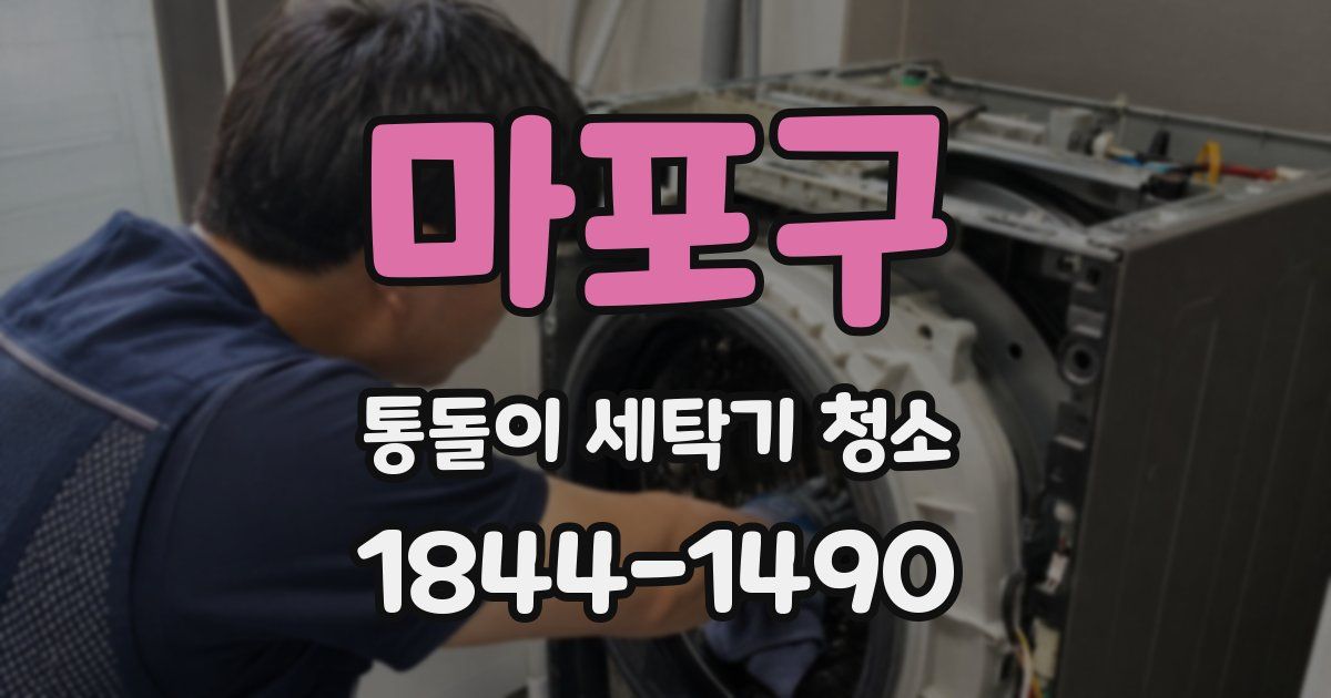 마포구 통돌이 세탁기 청소