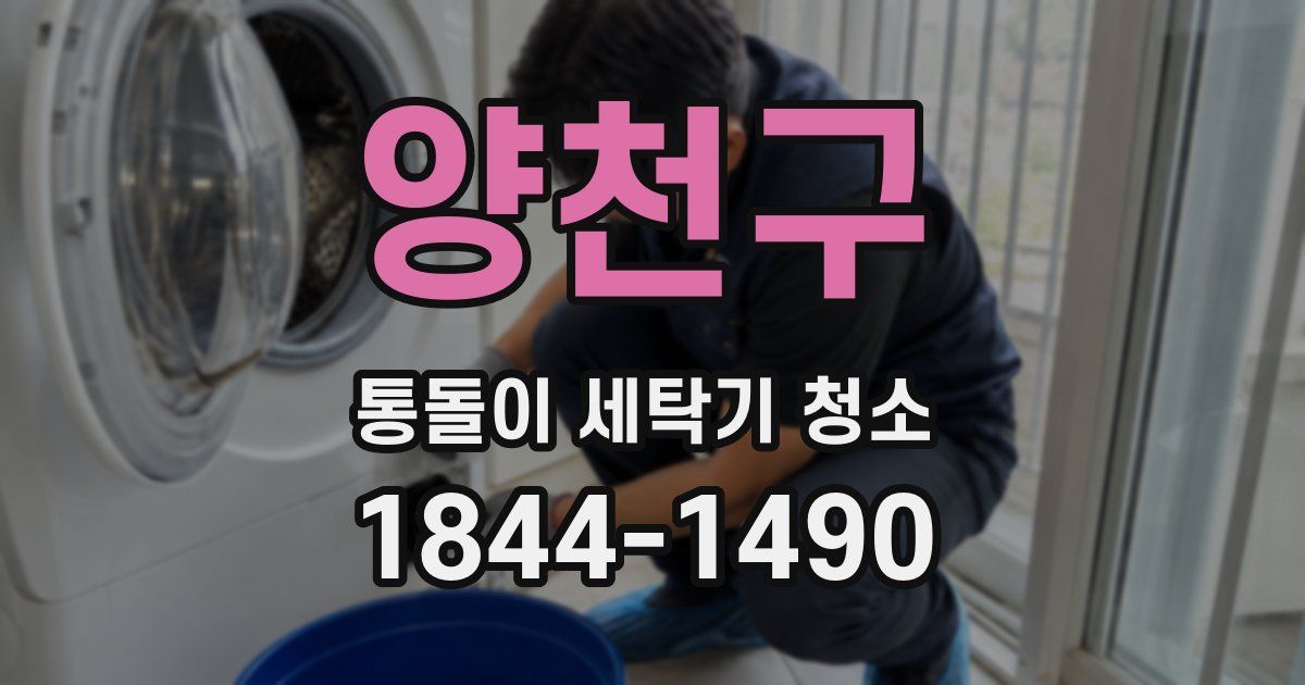 양천구 통돌이 세탁기 청소