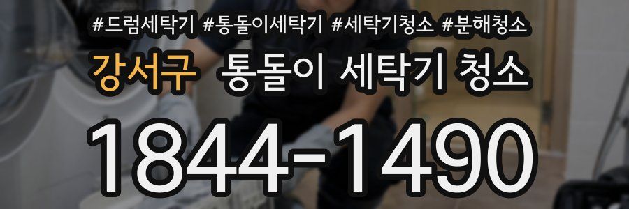 강서구 통돌이 세탁기 청소
