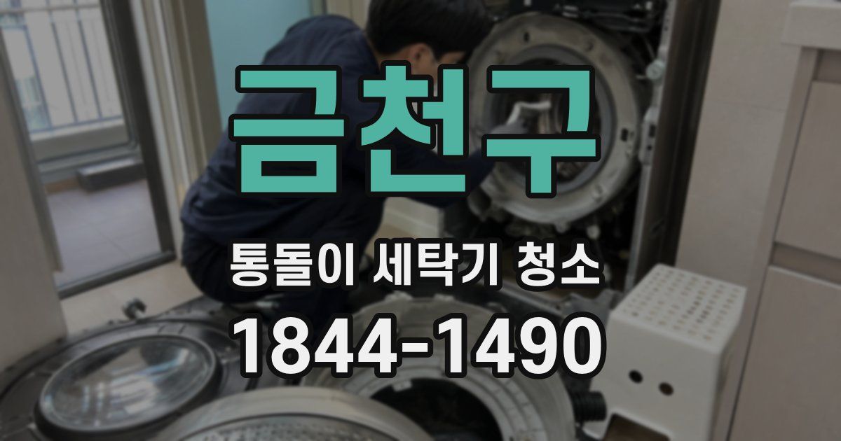 금천구 통돌이 세탁기 청소
