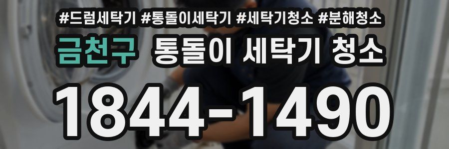 금천구 통돌이 세탁기 청소
