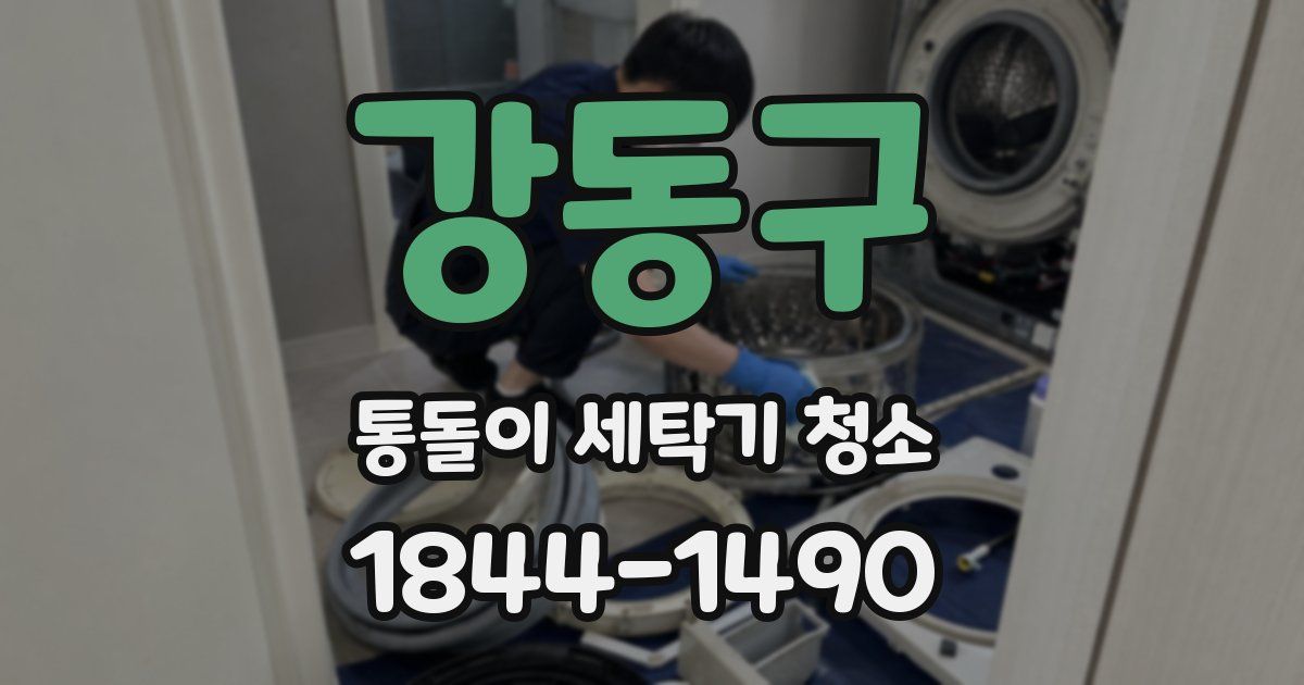 강동구 통돌이 세탁기 청소