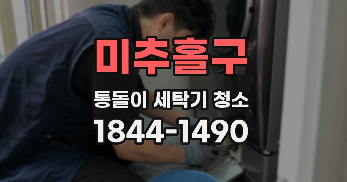 미추홀구 통돌이 세탁기 청소