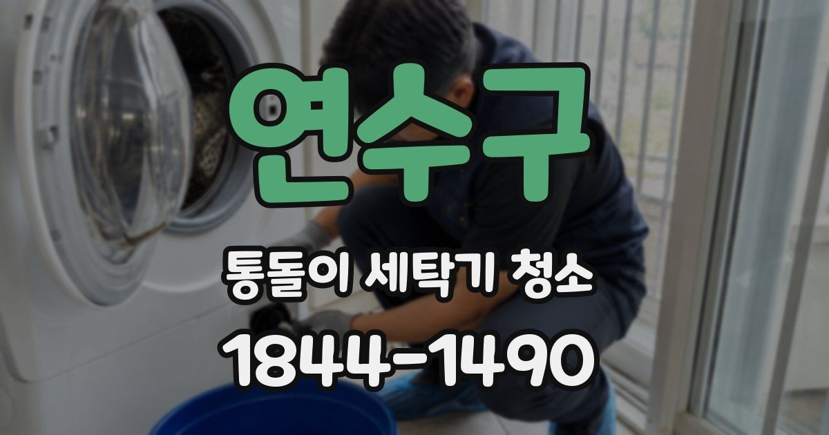 연수구 통돌이 세탁기 청소