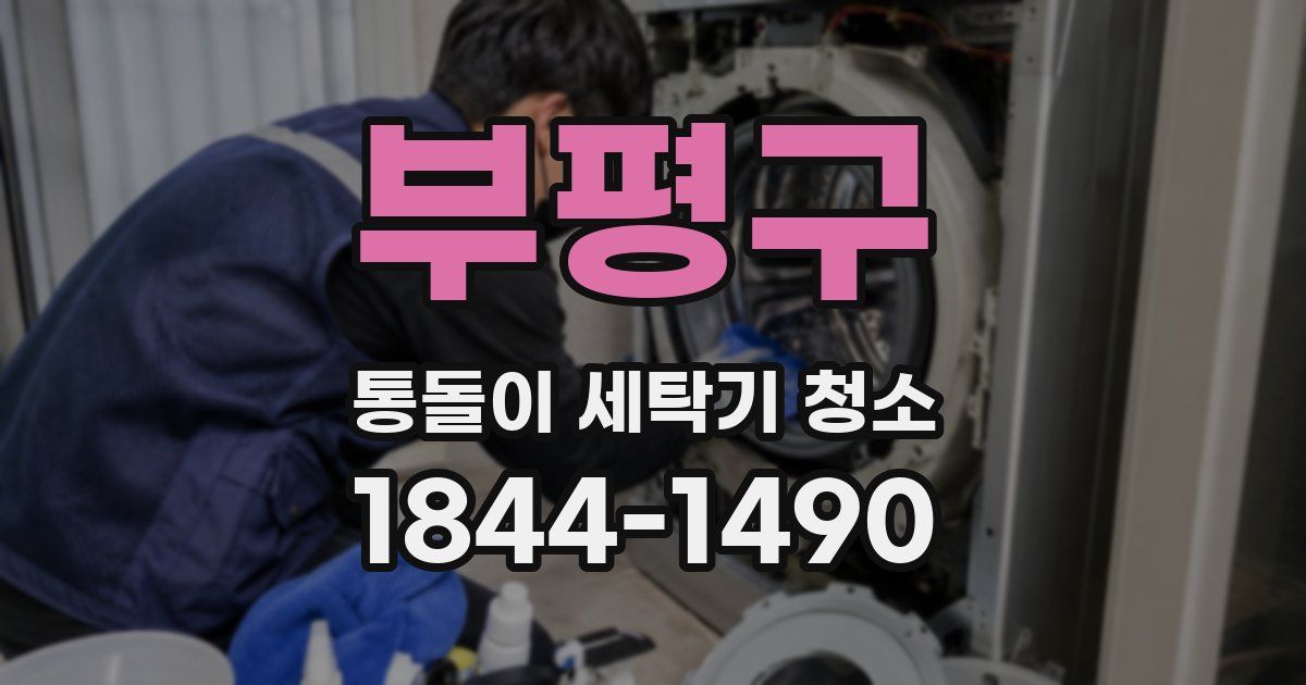 부평구 통돌이 세탁기 청소