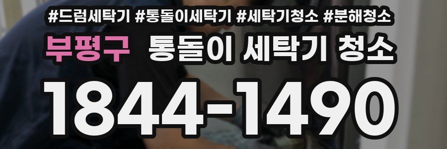 부평구 통돌이 세탁기 청소
